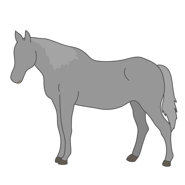 Personaje animal caballo gris de pie vista lateral blanco aislado fondo con estilo de color plano — Archivo Imágenes Vectoriales