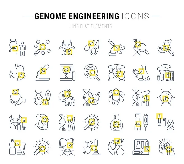 Набір Векторних Лінійних Піктограм Знаків Жовтими Квадратами Інженерії Генома Відмінних — стоковий вектор