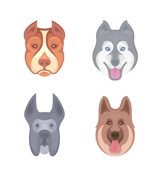 Vektorillustration Pitbull Labrador Retriever Schäfer Siberian Husky Och Grand Danois — Stock vektor