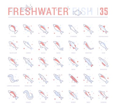 Collection of vector flat icons with thin line elements of freshwater fish. Set of clean design, and outline signs. Simple linear infographics and pictograms pack for web graphics and apps. clipart