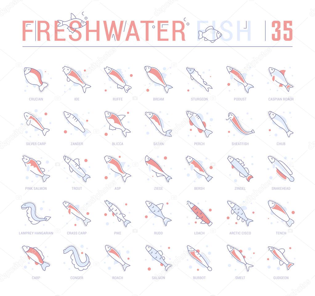 Collection of vector flat icons with thin line elements of freshwater fish. Set of clean design, and outline signs. Simple linear infographics and pictograms pack for web graphics and apps.