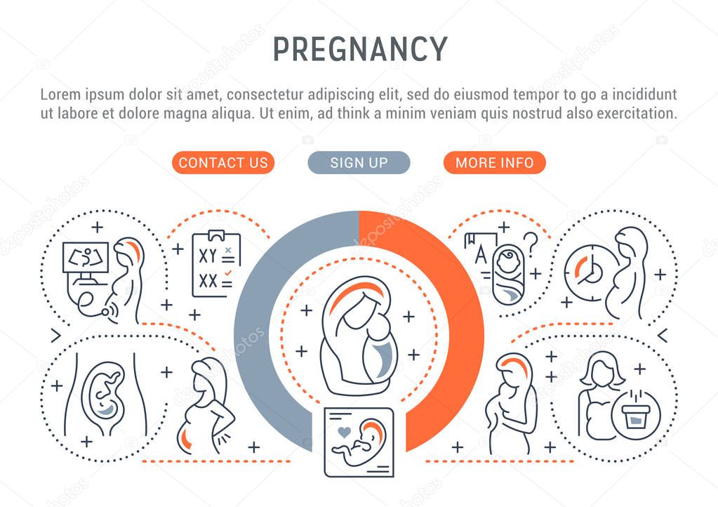 Vector illustration of the pregnancy.