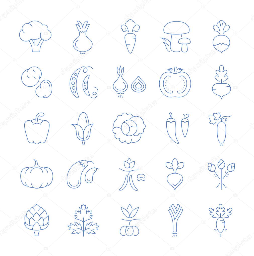 Set vector line icons in flat design Vegetables and Healthy food with elements for mobile concepts and web apps. Collection modern infographic logo and pictogram.