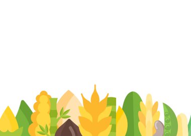 Çeşitli hububat ve beyaz arka plan üzerinde izole fasulye. Çiftçi pazarı için yatay banner.