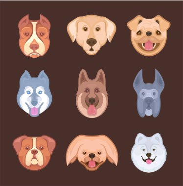 Labrador geri almak, Pekingese, Pug, Bulldog, Siberian dış yapraklar, Pitbull, Alman çoban ve Danua Illustration. Evde beslenen hayvan dükkan, hayvan barınakları, köpek göstermek ve diğerleri için etiketleri.
