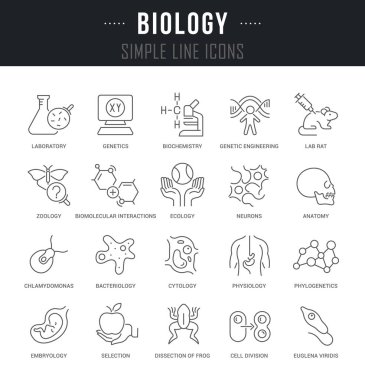 Set Vector Line Icons of Biology. clipart