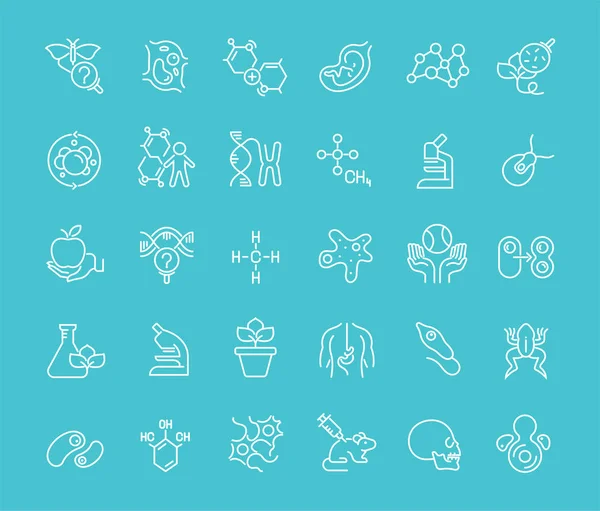 Set of Line Icons of Biology. — Stock Vector