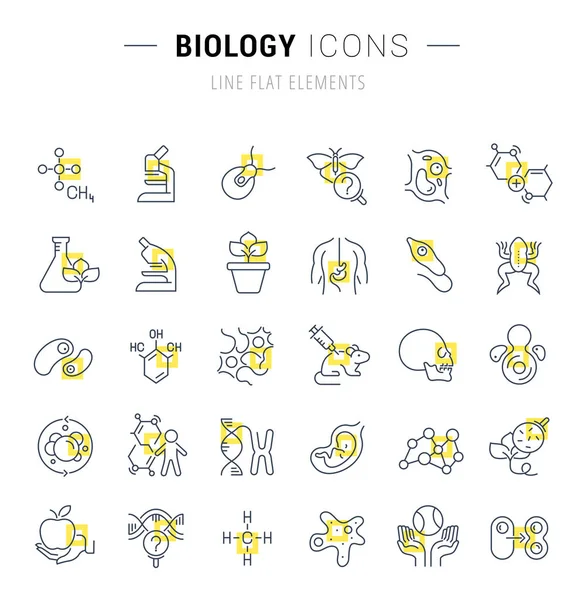Definir ícones de linha vetorial de biologia . — Vetor de Stock