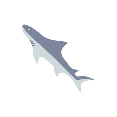 köpekbalığı illüstrasyon