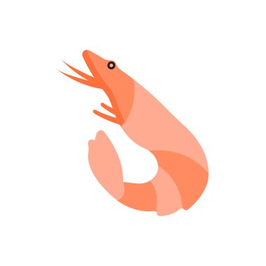 karides illüstrasyon