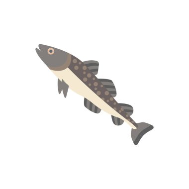 Morina Balık İllüstrasyon