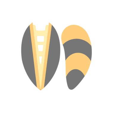 Midye İllüstrasyon