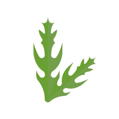 Mizuno İllüstrasyon