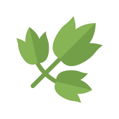 Aegopodium Çim İllüstrasyon