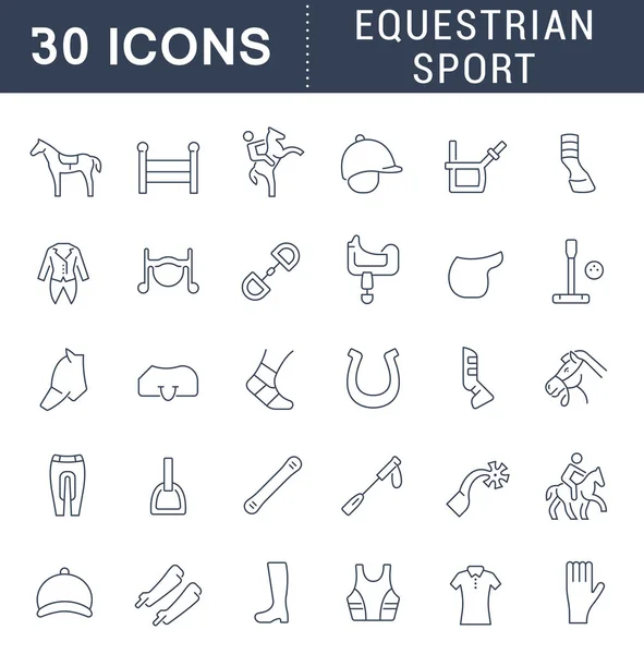 Set Vector Line Icons of Equestrian Sport. — Stock Vector