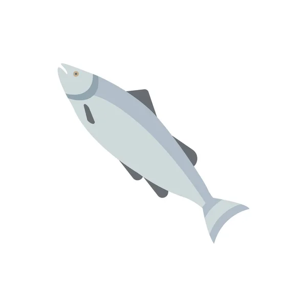Atlantic Salmon Illustration — Stock Vector