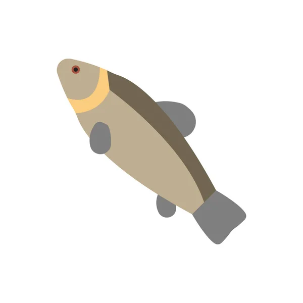 Tench illustratie — Stockvector