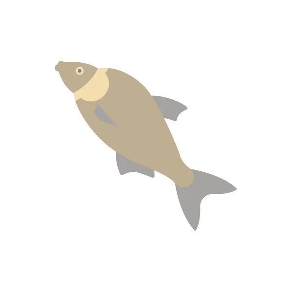 Bream Illustration — Stock Vector