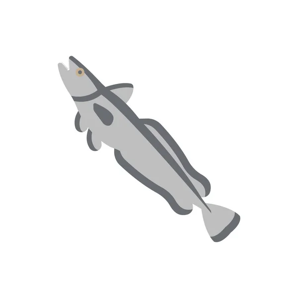 Illustration du merlu — Image vectorielle
