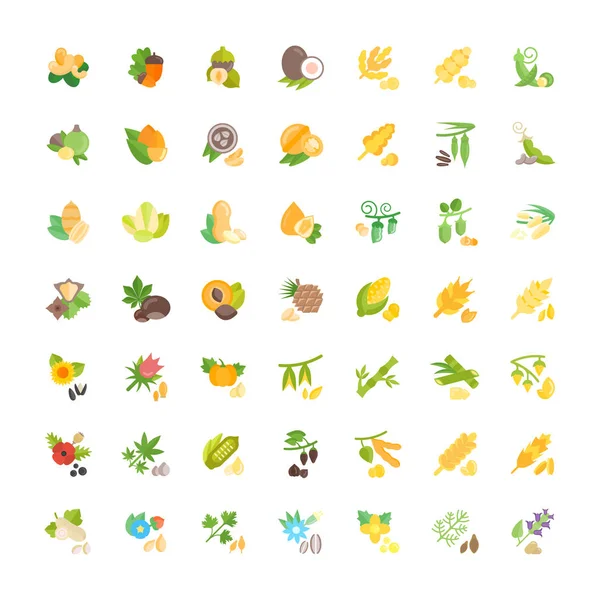 stock vector Set Vector Flat Icons of Grains, Nuts and Herbs.