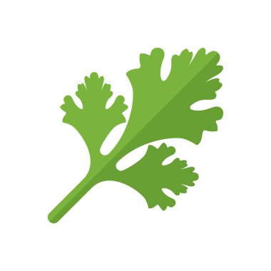 Cilantro İllüstrasyon