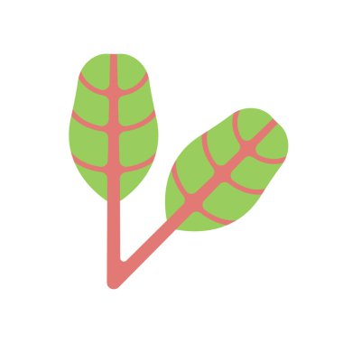 Pazı İllüstrasyon