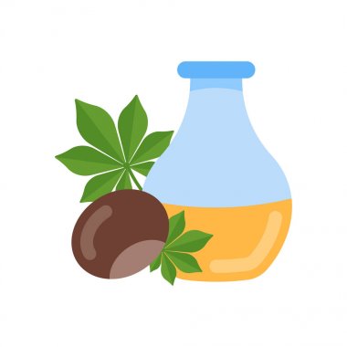 Kestane Yağı İllüstrasyon