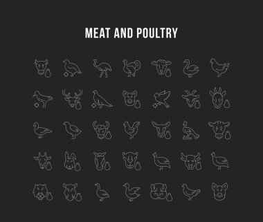 Et ve kümes hayvanları vektör hat Icons set.