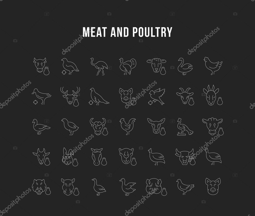 Set of vector line icons, sign and symbols of meat and poultry for modern concepts, web and apps. Collection of infographics elements, logos and pictograms.