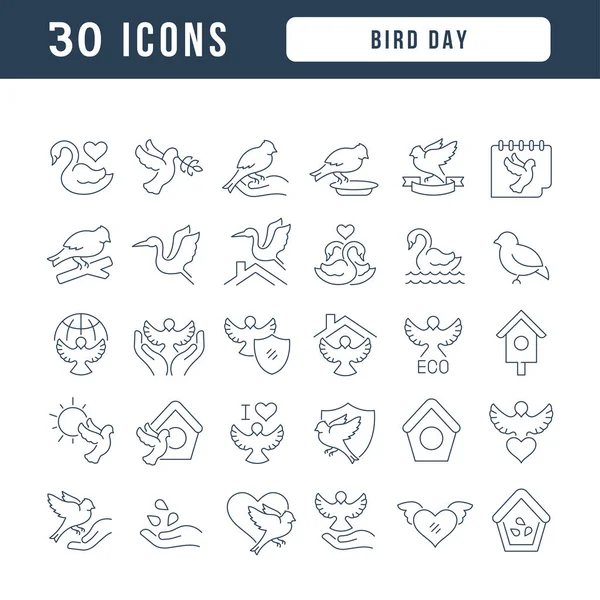 Establezca Iconos Delgados Línea Vectorial Del Día Del Pájaro Diseño — Vector de stock