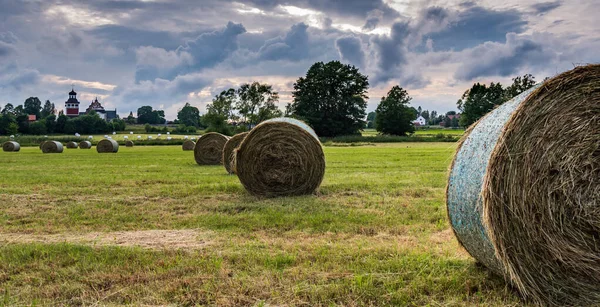 Coucher Soleil Sur Paysage Suédois Avec Herbe Roulée Dans Les — Photo