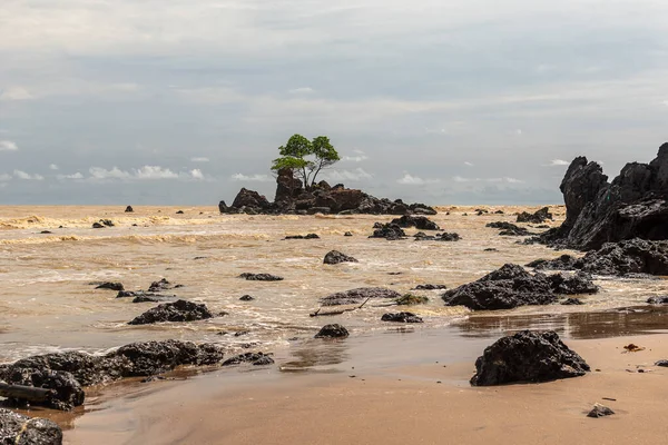 Costa Oro Dell Africa Con Mare Giallo Isola Con Rocce — Foto Stock