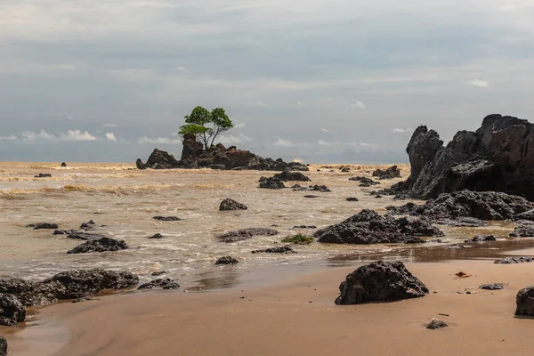 アフリカの黄金色の海岸と木が厳しい条件で成長する黒い岩の島 場所はガーナ西アフリカに位置しています — ストック写真