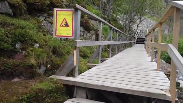 Escursioni Una Passerella Legno Che Conserva Terreno Nella Foresta Sentieri — Video Stock