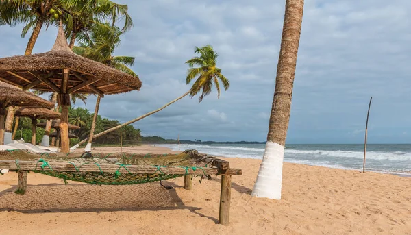 África Praia Tropical Com Palmeiras Espreguiçadeiras Vazias Praia Está Localizada — Fotografia de Stock