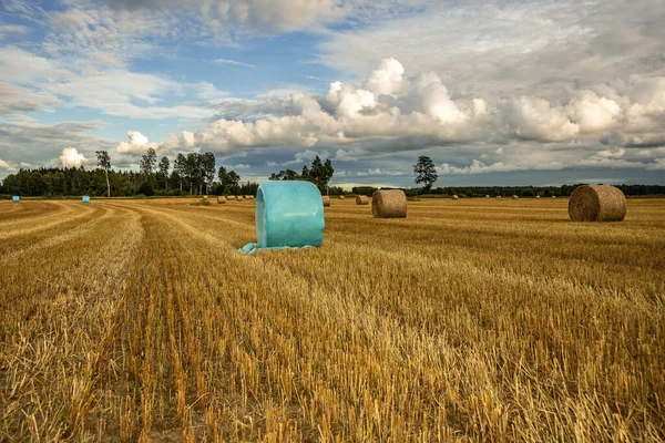 Coucher Soleil Sur Paysage Suédois Avec Herbe Roulée Dans Les — Photo