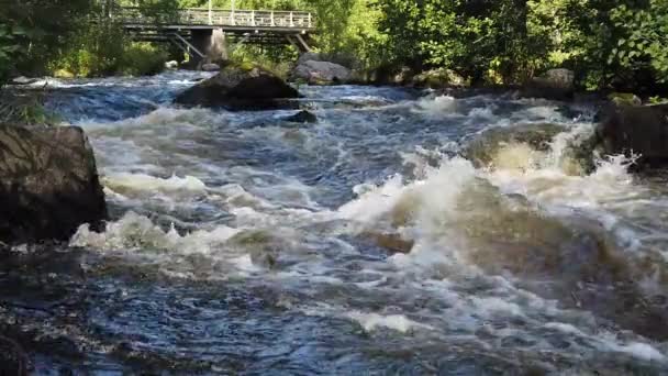 Vesiputous Liikkeessä Aurinkoisena Syyspäivänä Ruotsin Luonnossa — kuvapankkivideo