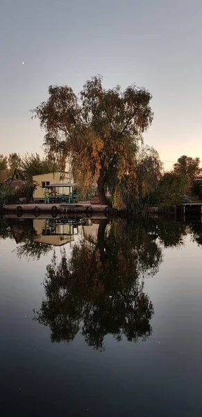 Sudaki ağaçların yansıması