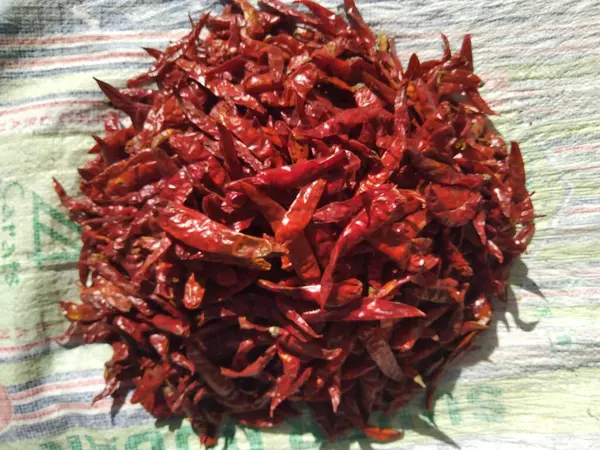 Yemek arkaplanı olarak kurutulmuş kırmızı biber.