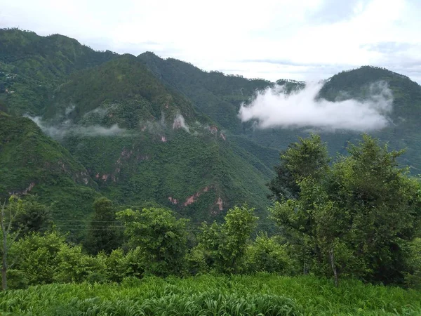dağlar ve yeşil vadi kaplı ağaçlar ve gökyüzü bulutlu