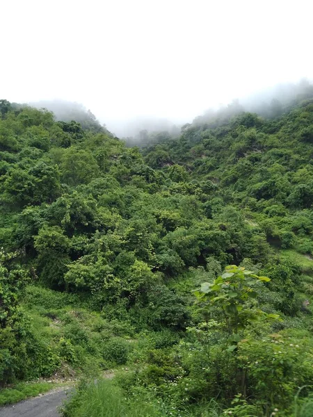 dağlarla kaplı ağaçlar ve bulutlu mavi gökyüzü