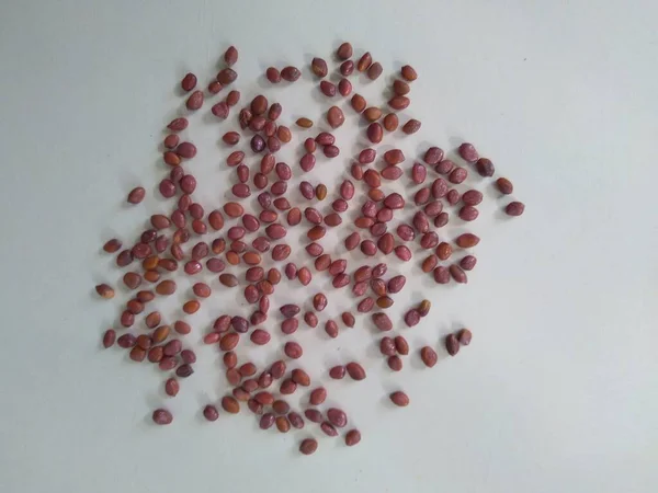 beyaz arkaplan görünümünde izole turp tohumları