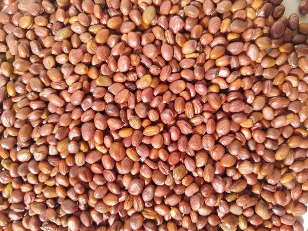 Yemek arkaplanı olarak kullanılan turp tohumları