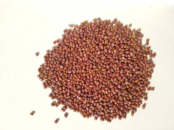 beyaz arkaplan görünümünde izole turp tohumları