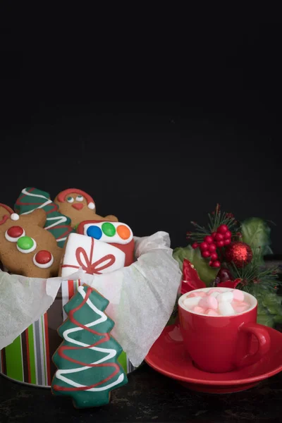 Tenn Jul Pepparkakor Med Varm Choklad Och Marshmallows Mörk Bakgrund — Stockfoto