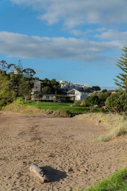 Tapeka Point Beach Russell Bay Island Yeni Zelanda Güneşli Sonbahar Öğleden Sonra Dikey