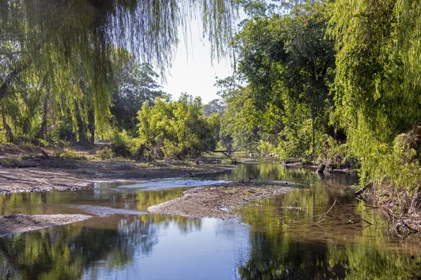 Jungle River Puebla Nayarit México — Foto de Stock