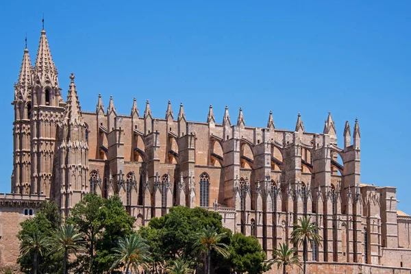 Cathedral Santa Maria Palma Mallorca Spain — Stock Photo, Image