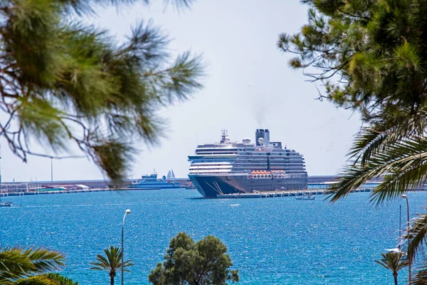Cruiseship Docked Palma Mallorca Tree Branches Foreground — Stock Photo, Image