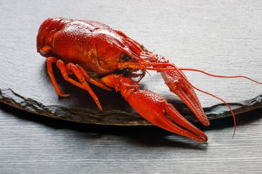 Kaynamış kırmızı kerevit tabakta yakın planda.